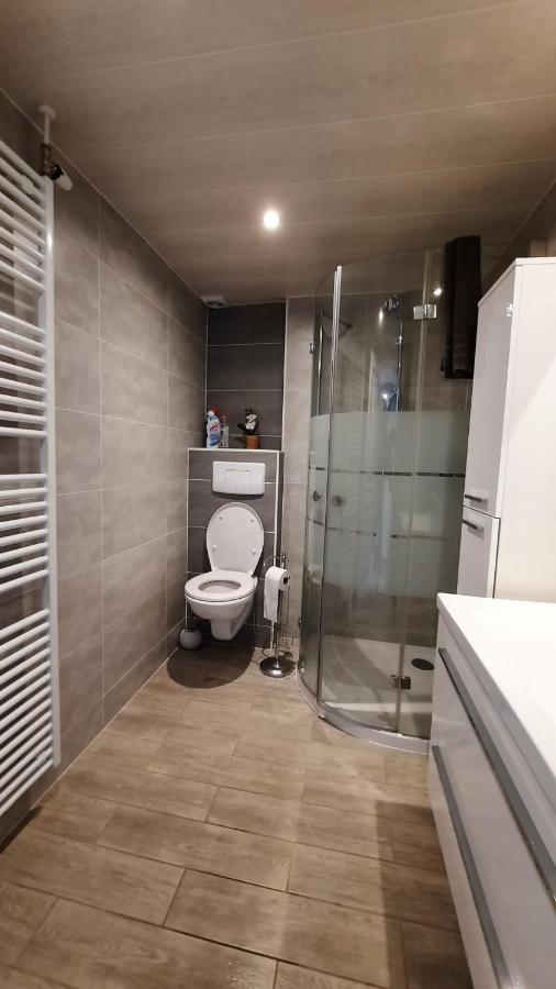 Le Gai Pinson Villa Beausaint Ngoại thất bức ảnh